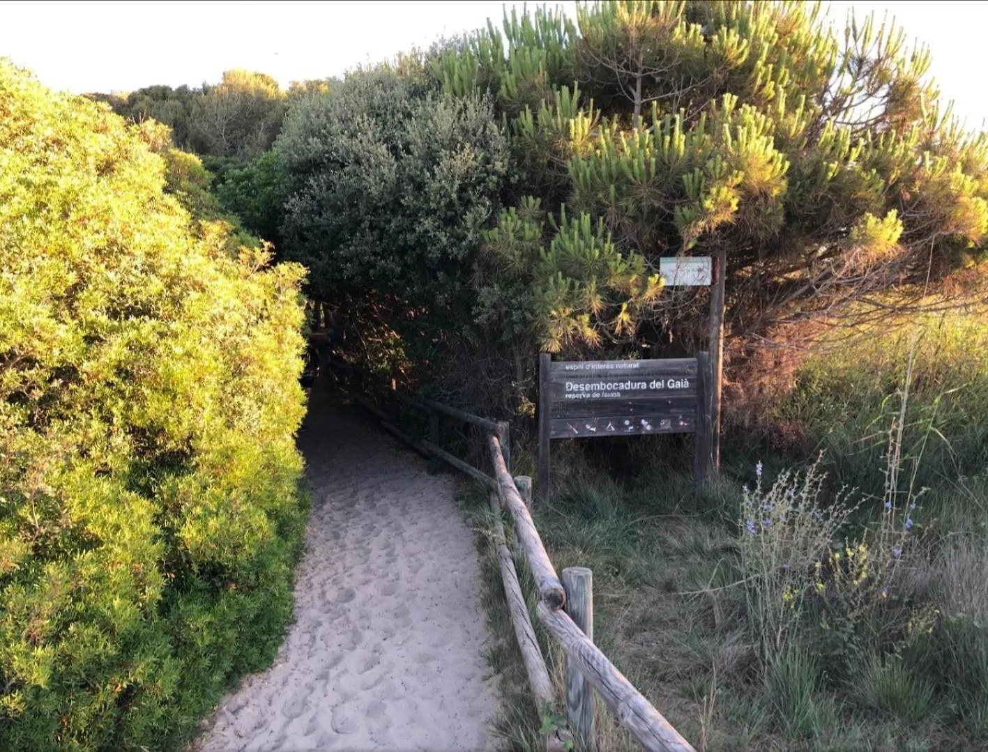Appartement Apartamentos Cala Azul La Mora Tarragona